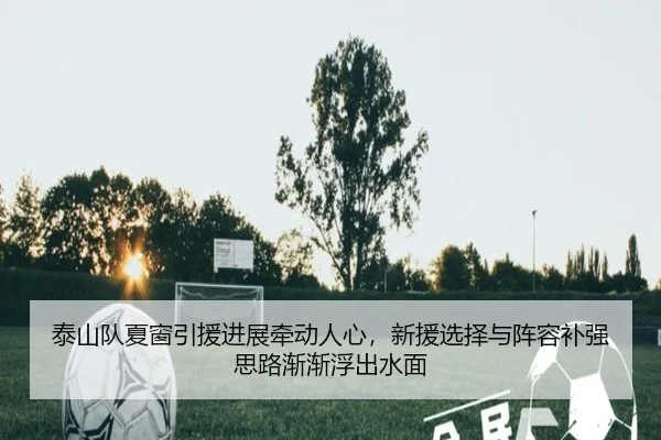 泰山队夏窗引援进展牵动人心，新援选择与阵容补强思路渐渐浮出水面 - WENDING